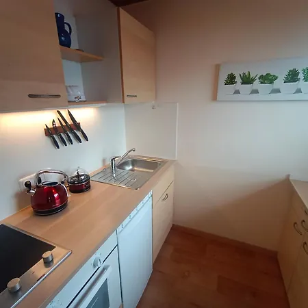 Rieder Apartment Mittersill